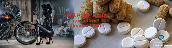 PSILOCYBIN Каменка