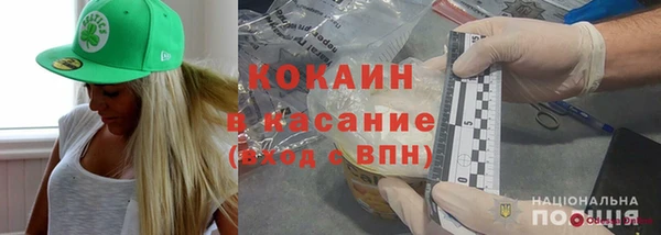 PSILOCYBIN Каменка