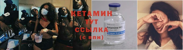 PSILOCYBIN Каменка