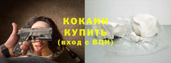 PSILOCYBIN Каменка