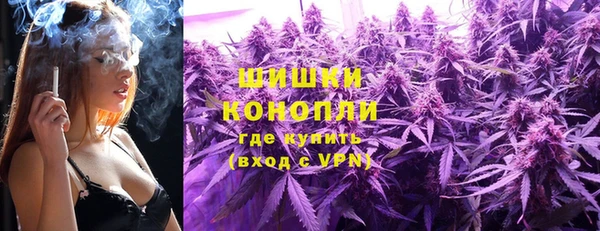 PSILOCYBIN Каменка