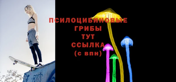 метадон Каменногорск