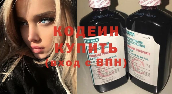 PSILOCYBIN Каменка