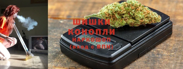 PSILOCYBIN Каменка