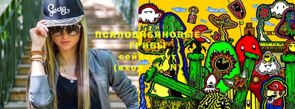 PSILOCYBIN Каменка